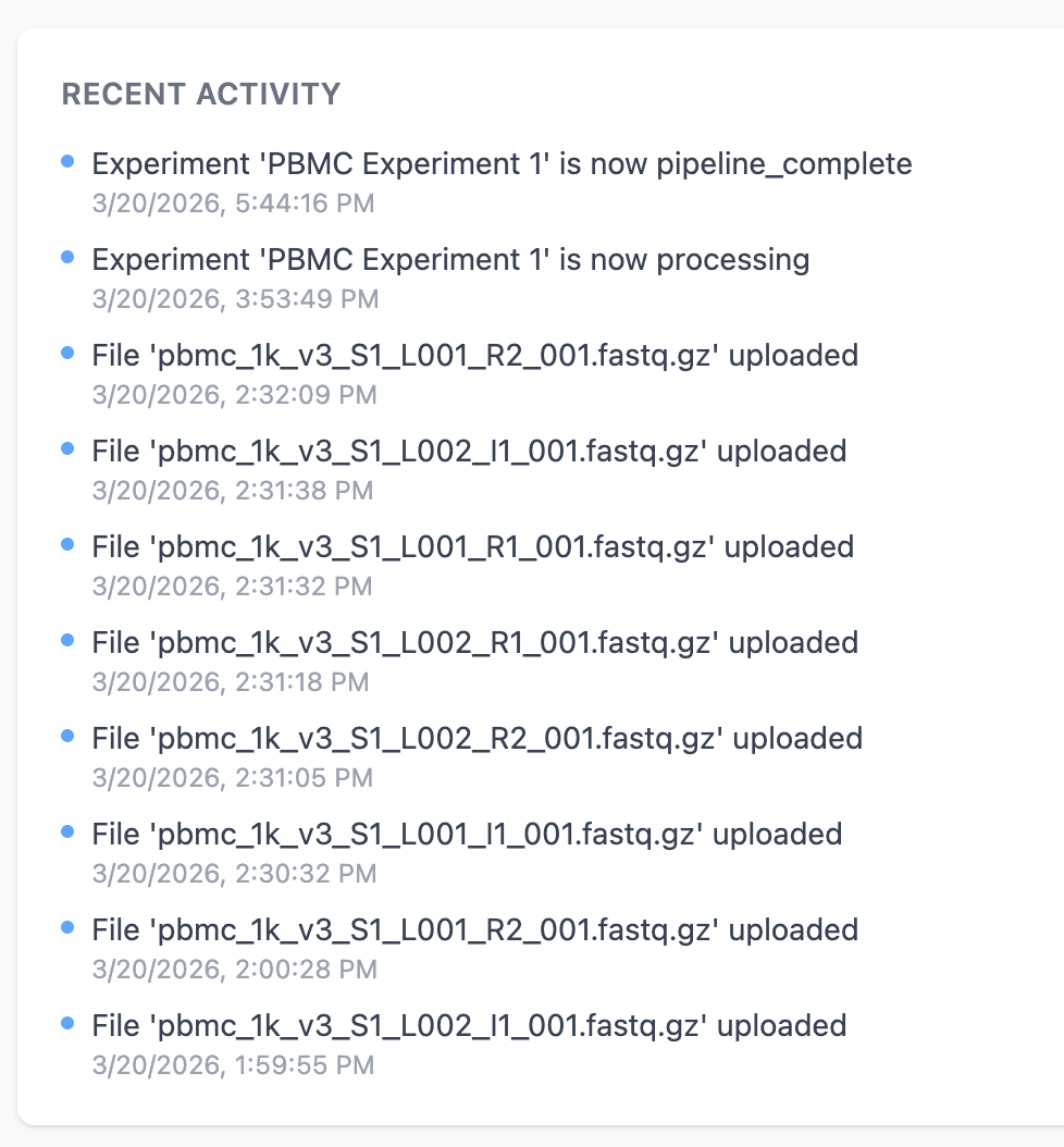 Activity feed showing recent team events with timestamps and user attribution